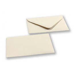 Biglietti e buste 9x14 10+10pz camoscio