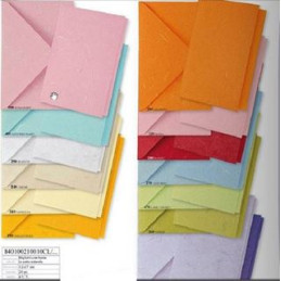 Biglietti e buste 9x14 carta naturale 10pz Papeterie vari colori