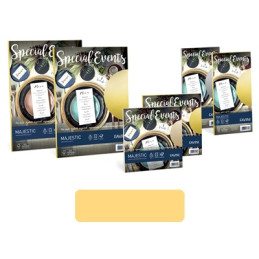 Biglietti e buste 9x14 special events oro 5+5pz