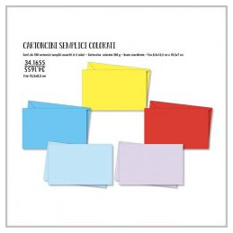 Biglietti e buste f.to 9 col.forti 100+100pz