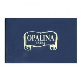 Biglietti visita f.to 9 mis. 9x14 100pz