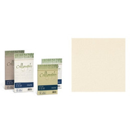 Buste Calligraphy algae 11x22 90gr. algae 25pz