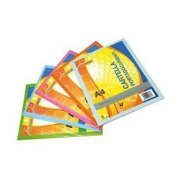 Cartelle portadocumenti personalizzabile per presentazione blu