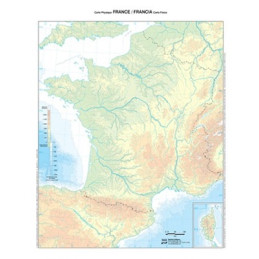 Cartina geografica da banco in carta Francia muta A3