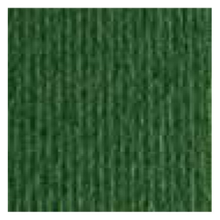 Cartoncino 70100 verdone