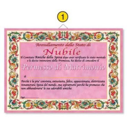 Diploma Gadgets v/temi