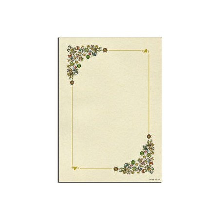 Diplomi in pergamena 17x24 4579 Cornice fiori