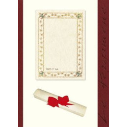 Diplomi in Pergamena A4  la diplomatica