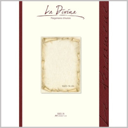 Diplomi in pergamena A4 Rotolo 12fg