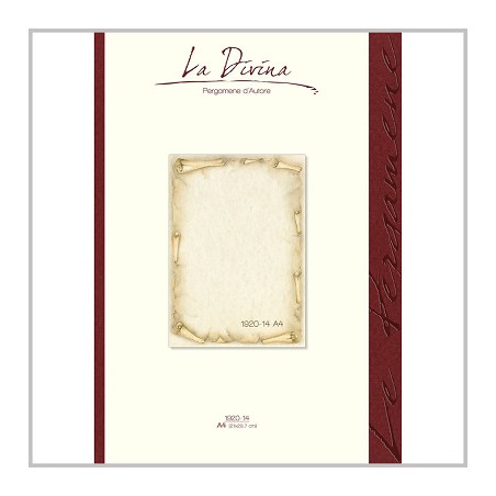 Diplomi in pergamena A4 Rotolo 12fg