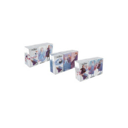 Fazzoletti 6pz Frozen