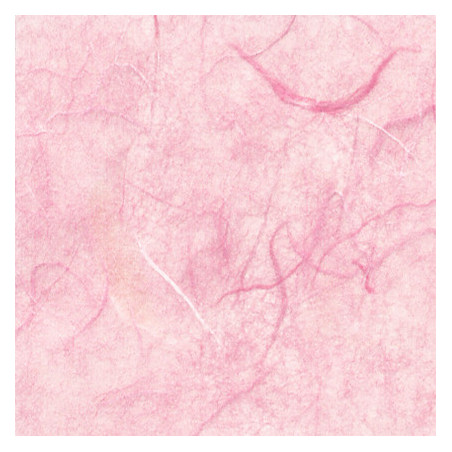 Foglio carta di riso 70x100 gr.25 rosa