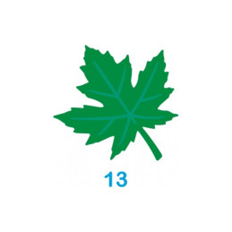 Fustella silhoulette con rilievo Foglia