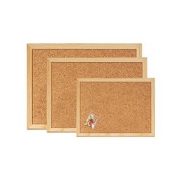 Lavagna in sughero 60x40 con spilli cartografici