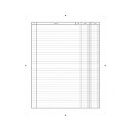 Libro cassa Registro Entrate-Uscite,31x24,5 100 pagg.