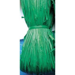 Matassina di Rafia naturale verde natale gr50