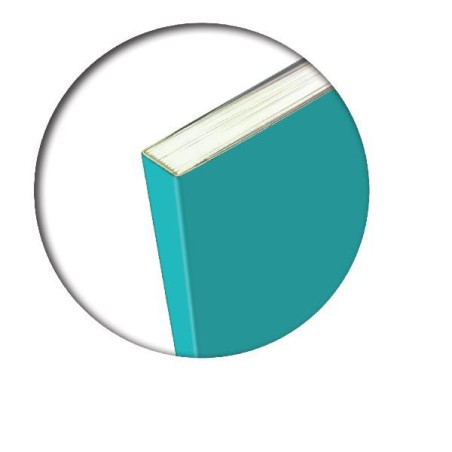 Maxi quaderno brossurato one color 96+1 Rigatura 5mm