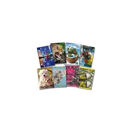 Maxi quaderno fantasia - rigo 10mm 40fg / 80pg con frontespizio