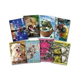 Maxi quaderno fantasia- rigo 1RC 40fg / 80pg con frontespizio -