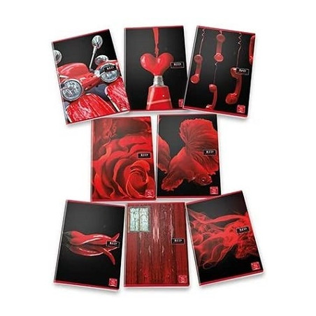 Maxi quaderno Pigna RED 96pg / 48fg - rigo C