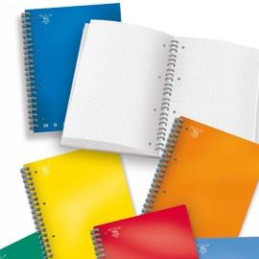 Maxi Spiralato A4 One Color 80ff Copertina PPL 1 Rigo