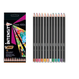 Pastelli bic a 12pz  Intensity