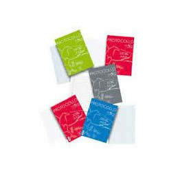 Protocollo rigo C 200fg 80gr