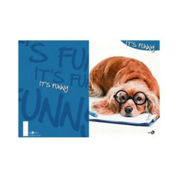 Quaderno standard fantasia 40fg / 80pg con frontespizio - Rigatura A Blasetti