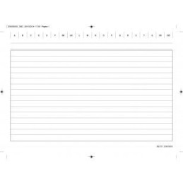 Schede rigate 17h.b24b.100fg