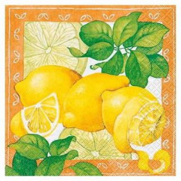 Tovaglioli decoupage 33x33 20pz