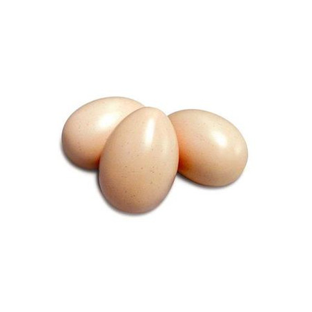 Uova naturali da decorare cm.6,5