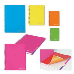 Maxi spiralato Tintaunita 5mm 120fg con divisori