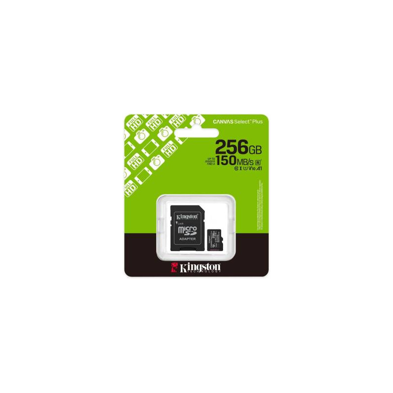 Scheda SD 256gb Kingston