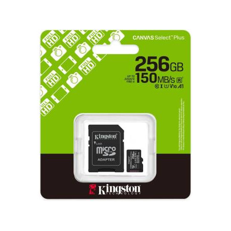 Scheda SD 256gb Kingston
