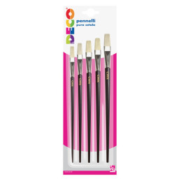 Pennelli in set 5pz piatti