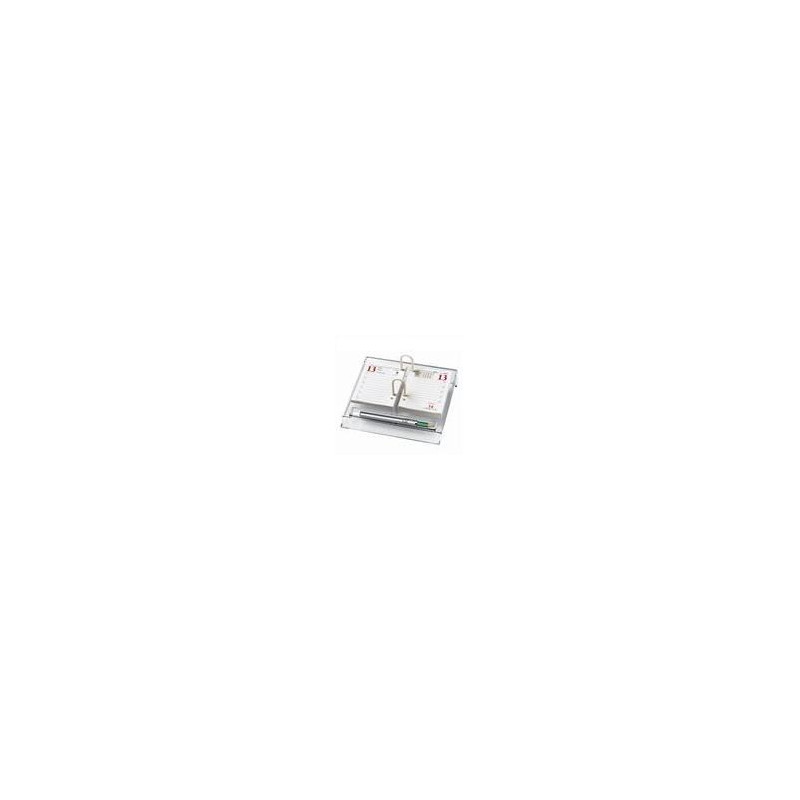 Calendario zodiaco
