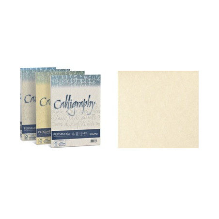 Carta  Pergamena Calligraphy A4 190gr. 50ff naturale