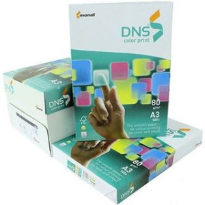 Carta bianca A3 300gr 125fg DNS PREMIUM