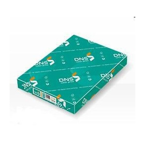 Carta bianca A4 160gr 250ff DNS