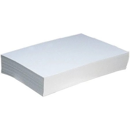 Carta bianca A4 80gr 500fg EKON