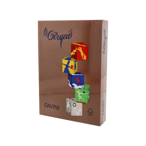 Carta Color A4 160gr le Cirque 250fg Castagna