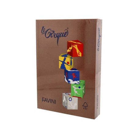 Carta Color A4 80gr le Cirque 500fg casagna