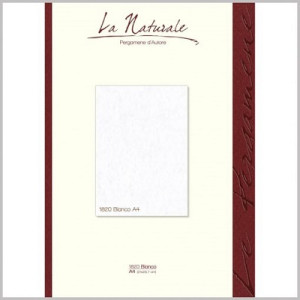 Carta pergamena A4 bianco neutre 160gr 12fg