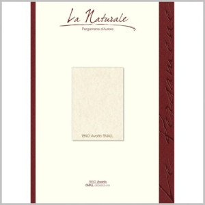 Carta pergamena A5 avorio neutre 160gr 12fg