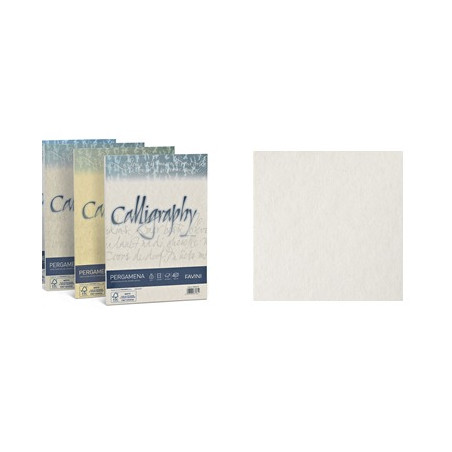 Carta Pergamena Calligraphy  A4 90gr. 50ff bianca