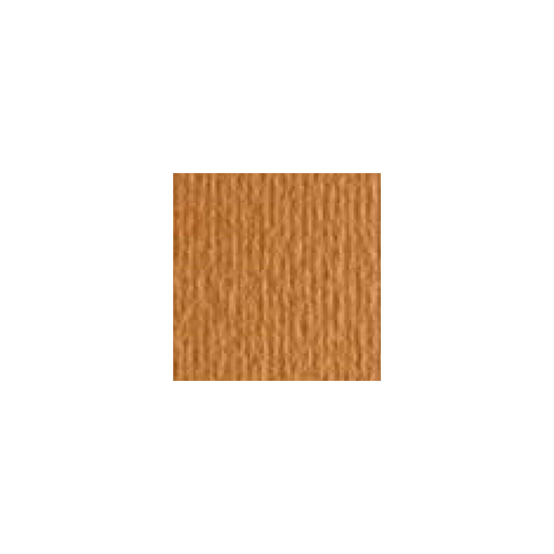 Cartoncino 5070 avana