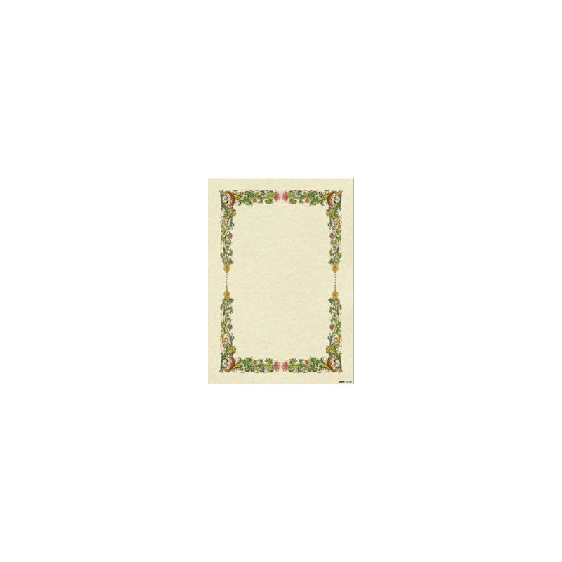 Diplomi in pergamena 24x34 cornice fiori