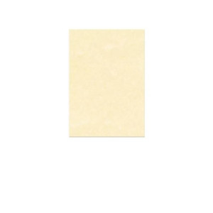 Diplomi in pergamena 24x34 neutro
