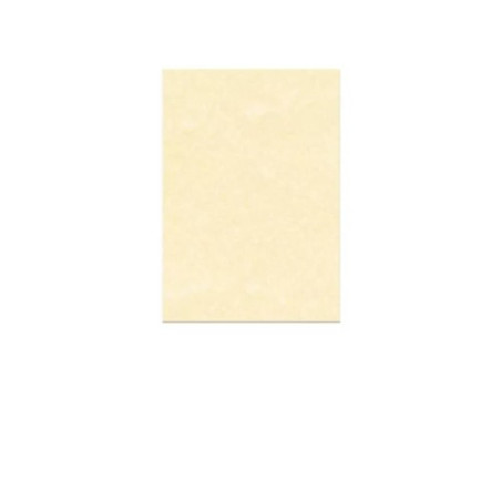 Diplomi in pergamena 24x34 neutro