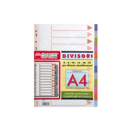 Divisori numerati da 1-12 polipropilene